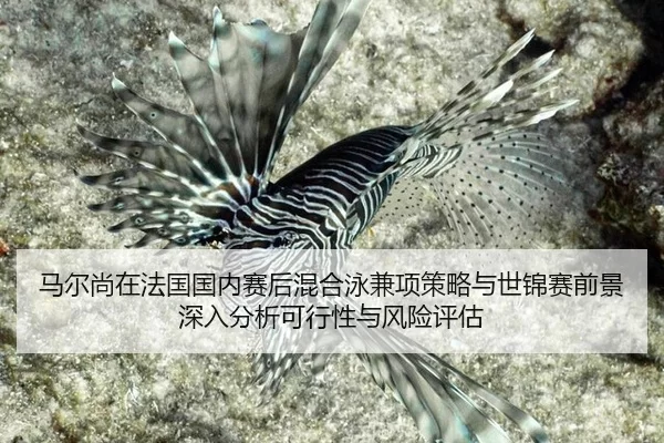 ma-er-shang-zai-fa-guo-guo-nei-sai-hou-hun-he-yong-jian-xiang-ce-lve-yu-shi-jin-sai-qian-jing-shen-ru-fen-xi-ke-xing-2-649.jpg