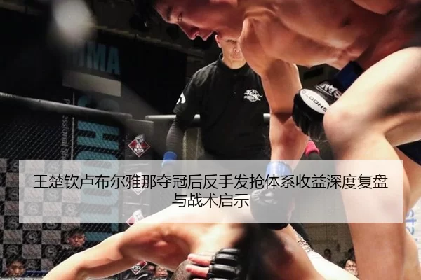 wang-chu-qin-lu-bu-er-ya-na-duo-guan-hou-fan-shou-fa-qiang-ti-xi-shou-yi-shen-du-fu-pan-yu-zhan-shu-qi-shi-1-727.jpg