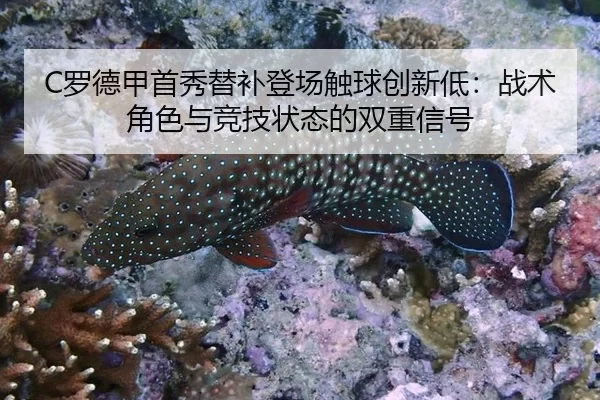 luo-de-jia-shou-xiu-ti-bu-deng-chang-chu-qiu-chuang-xin-di-zhan-shu-jue-se-yu-jing-ji-zhuang-tai-de-shuang-chong-xin-hao-1-714.jpg